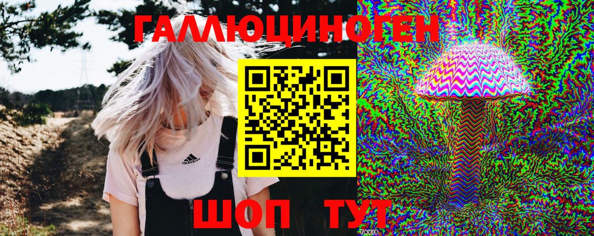 Псилоцибиновые грибы Cubensis Калуга
