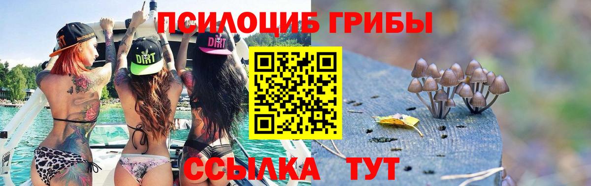 Калуга  Псилоцибиновые грибы MAGIC MUSHROOMS  Вход с VPN  Галлюциногенные грибы Psilocybe 
